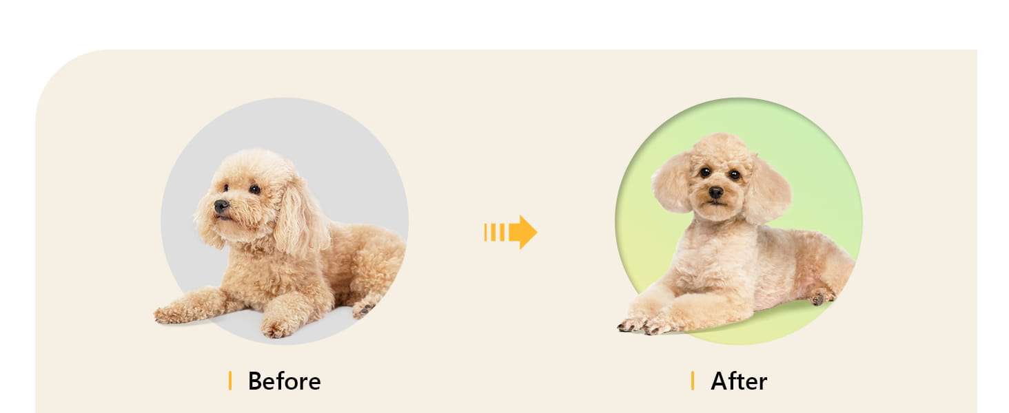 Kit de aseo 4 en 1 para perros y gatos, recargable.