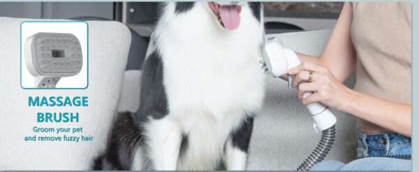 Kit de aseo 5 en 1 para mascotas: Aspiradora con secador y cortadora, succión de 11,000 Pa.