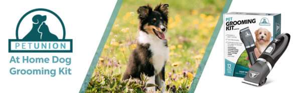Kit de aseo profesional para perros y gatos.