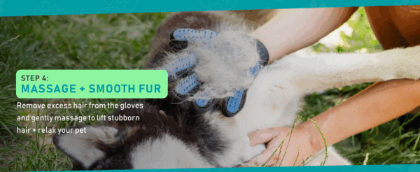 Kit de aseo para perros y gatos. Cepillo de doble cara y guantes para eliminar pelo de mascotas.