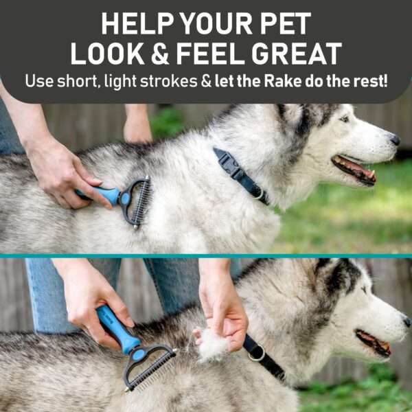 Kit de aseo para perros y gatos. Cepillo de doble cara y guantes para eliminar pelo de mascotas.