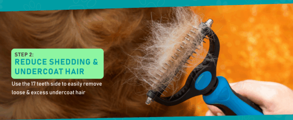 Kit de aseo para perros y gatos. Cepillo de doble cara y guantes para eliminar pelo de mascotas.