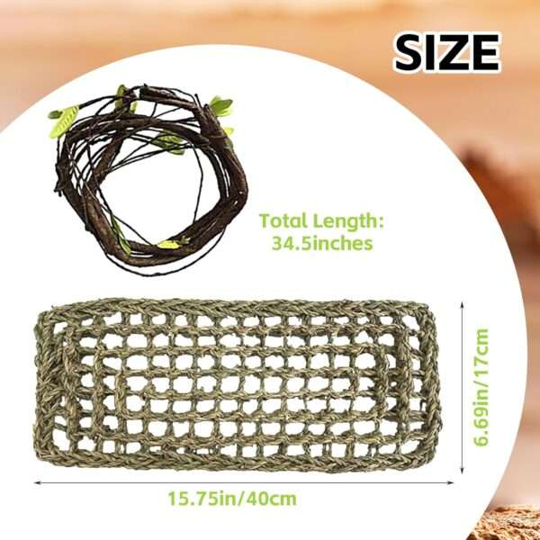 Un kit de decoración de terrario con temática de calavera Diente de Sable, incluyendo una hamaca de fibra natural y enredaderas artificiales.