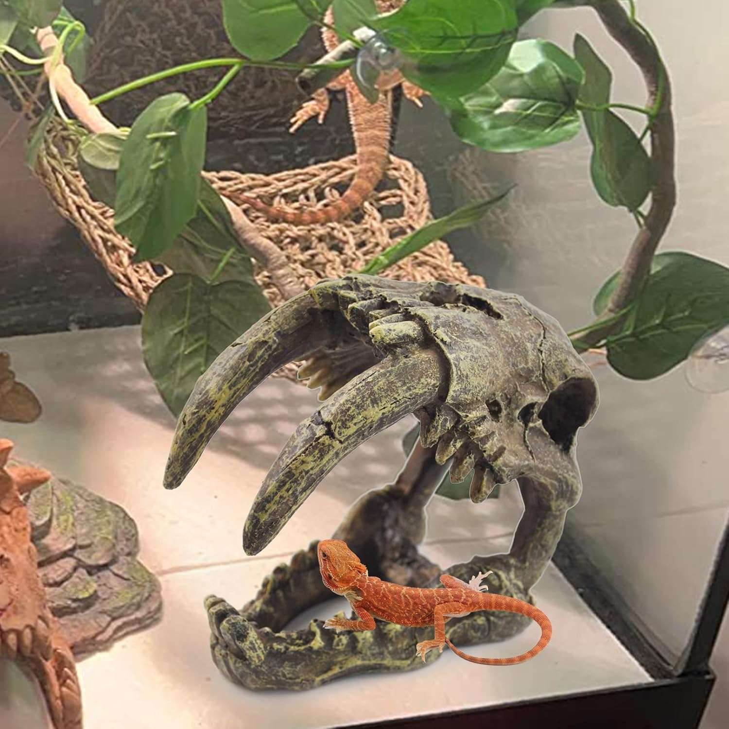 Un kit de decoración de terrario con temática de calavera Diente de Sable, incluyendo una hamaca de fibra natural y enredaderas artificiales.