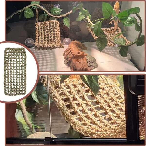 Un kit de decoración de terrario con temática de calavera Diente de Sable, incluyendo una hamaca de fibra natural y enredaderas artificiales.