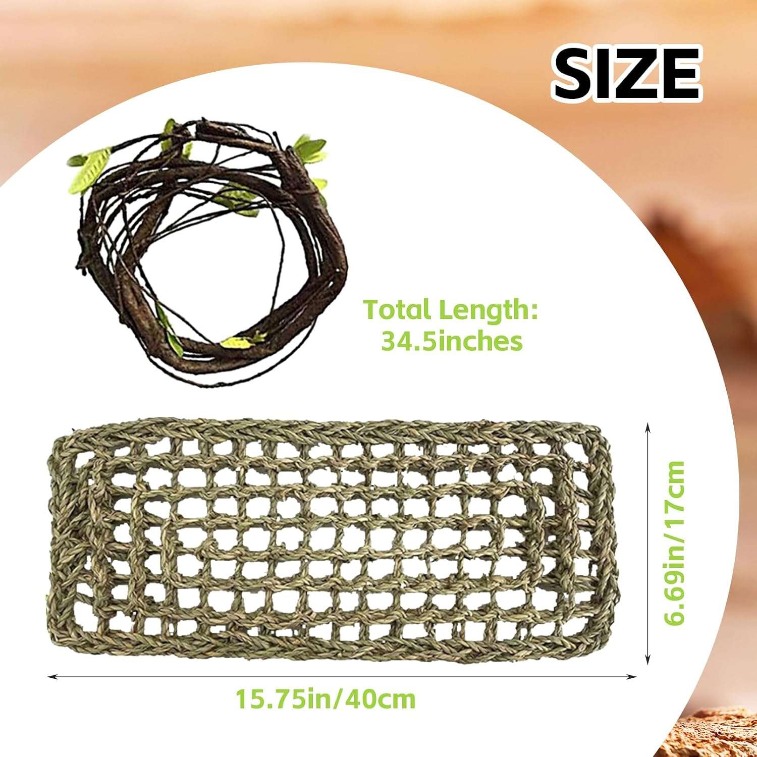 Un kit de decoración de terrario con temática de calavera Diente de Sable, incluyendo una hamaca de fibra natural y enredaderas artificiales.