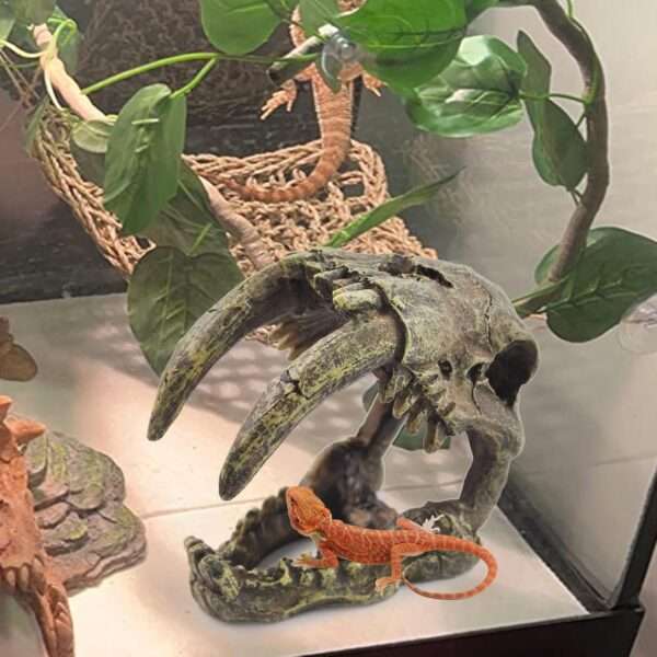 Un kit de decoración de terrario con temática de calavera Diente de Sable, incluyendo una hamaca de fibra natural y enredaderas artificiales.