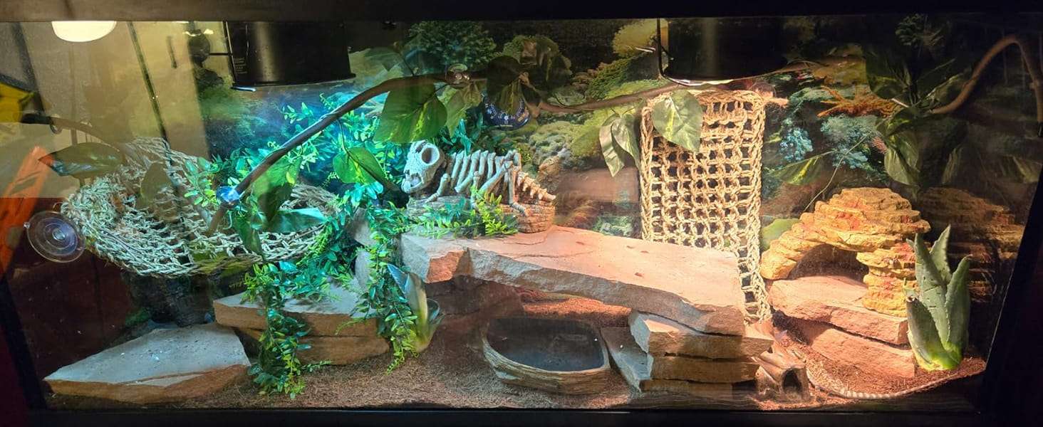 Un kit de decoración para terrario de Dragón Barbudo, mostrando el castillo medieval de resina, una hamaca y plantas colgantes.