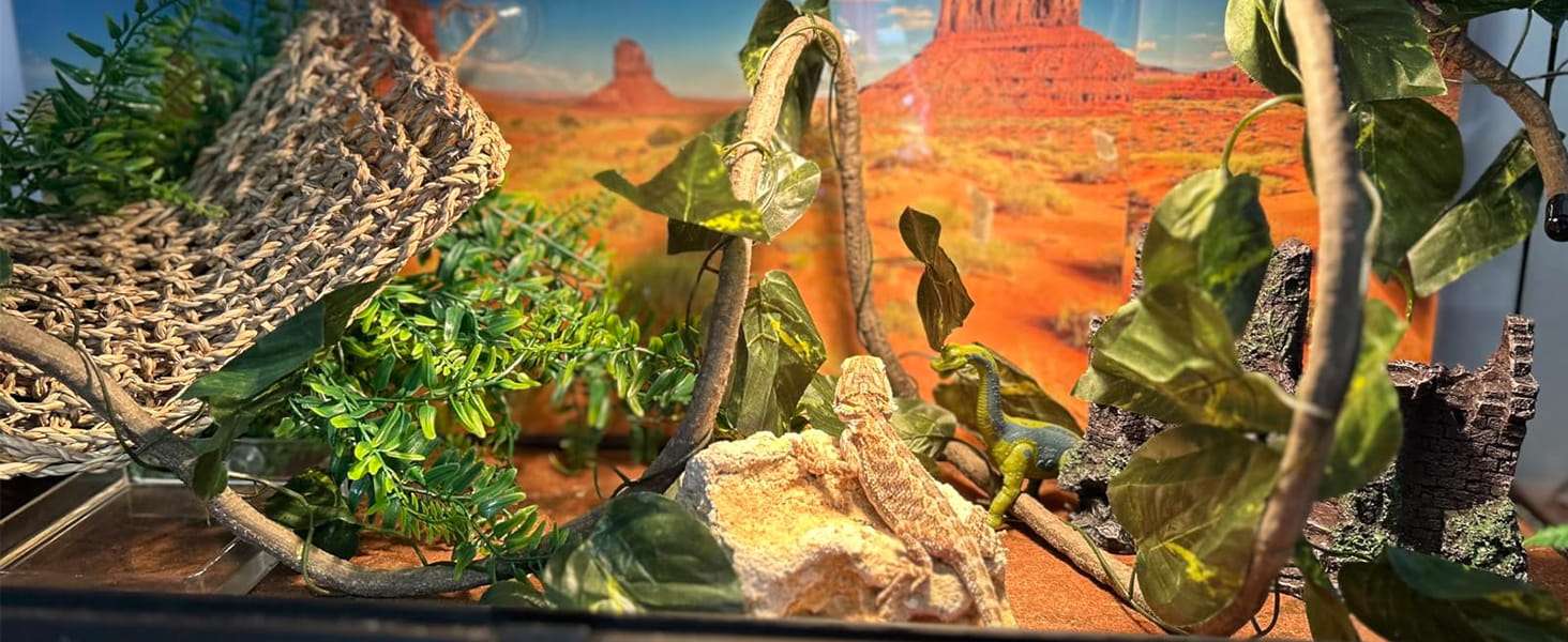 Un kit de decoración para terrario de Dragón Barbudo, mostrando el castillo medieval de resina, una hamaca y plantas colgantes.