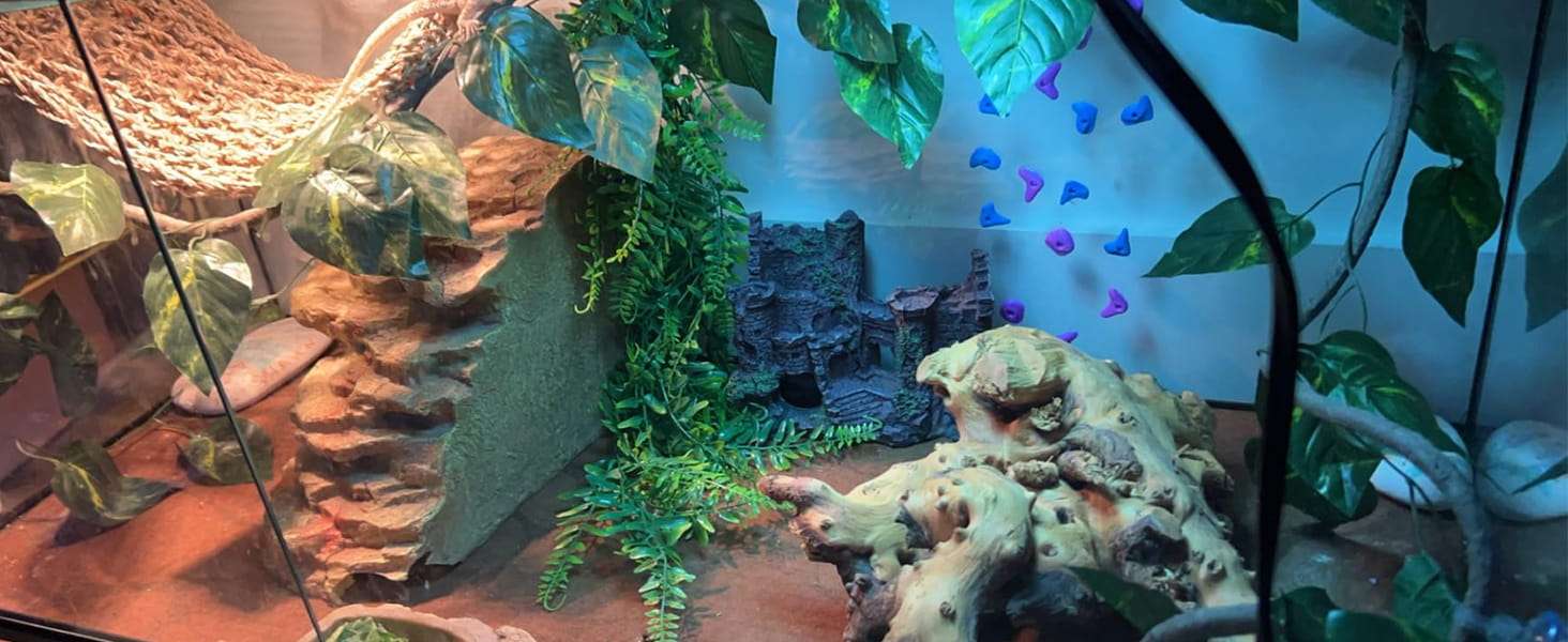 Un kit de decoración para terrario de Dragón Barbudo, mostrando el castillo medieval de resina, una hamaca y plantas colgantes.
