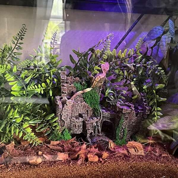 Un kit de decoración para terrario de Dragón Barbudo, mostrando el castillo medieval de resina, una hamaca y plantas colgantes.