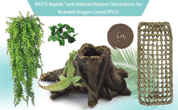Un kit completo de decoración para terrario, mostrando un tronco escondite de resina, una hamaca y vides, ideal para Dragones Barbudos.