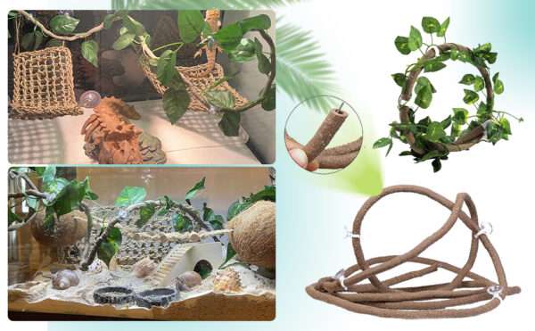 Un kit completo de decoración para terrario, mostrando un tronco escondite de resina, una hamaca y vides, ideal para Dragones Barbudos.