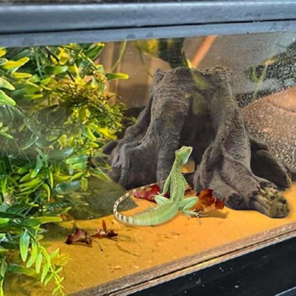 Un kit completo de decoración para terrario, mostrando un tronco escondite de resina, una hamaca y vides, ideal para Dragones Barbudos.