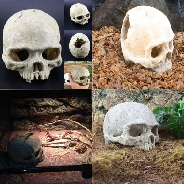 Un kit de decoración de terrario con una calavera humana de resina como escondite y un set de vides trepadoras y follaje artificial.
