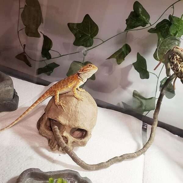 Un kit de decoración de terrario con una calavera humana de resina como escondite y un set de vides trepadoras y follaje artificial.