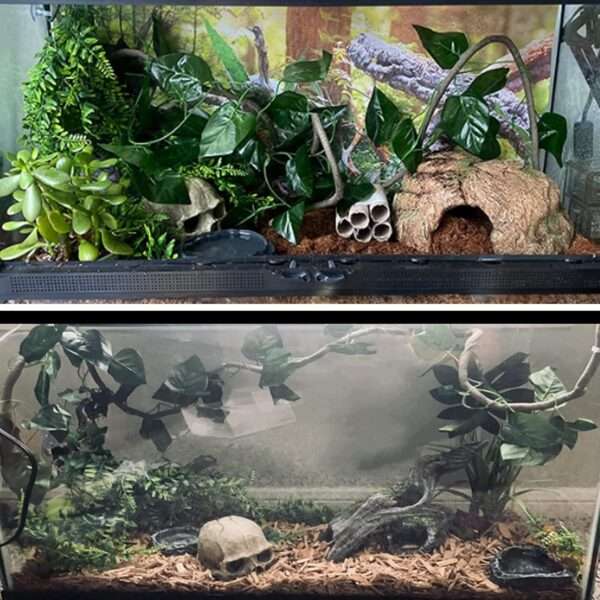 Un kit de decoración de terrario con una calavera humana de resina como escondite y un set de vides trepadoras y follaje artificial.