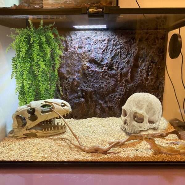 Un kit de decoración de terrario con una calavera humana de resina como escondite y un set de vides trepadoras y follaje artificial.