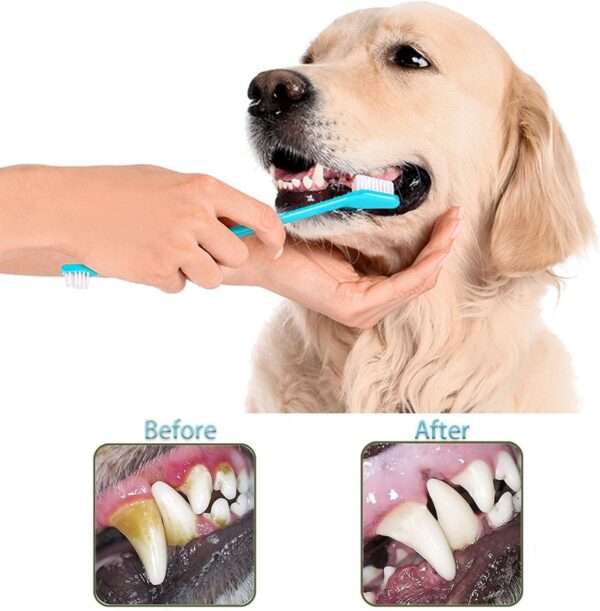 Kit de higiene dental 9 en 1 para perros. Cepillos de dientes para sarro y placa.