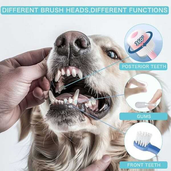 Kit de higiene dental 9 en 1 para perros. Cepillos de dientes para sarro y placa.