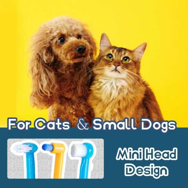 Kit de cepillos de dientes para gatos. Mini cepillos de higiene dental para mascotas pequeñas.