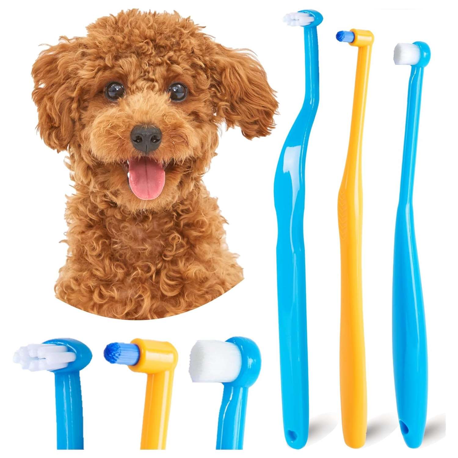Kit de cepillos de dientes para gatos. Mini cepillos de higiene dental para mascotas pequeñas.