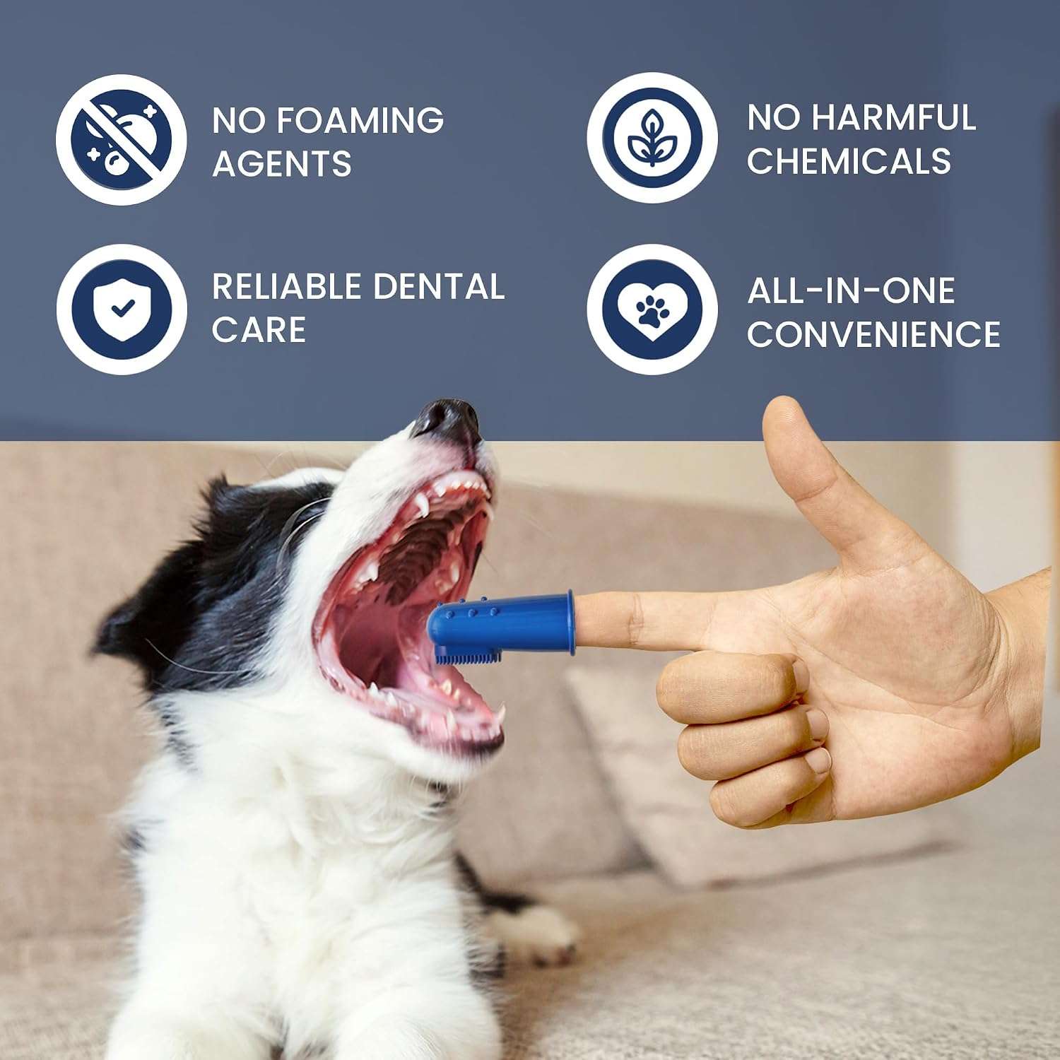 Kit de higiene dental para perros y gatos. Incluye cepillo y pasta de dientes.