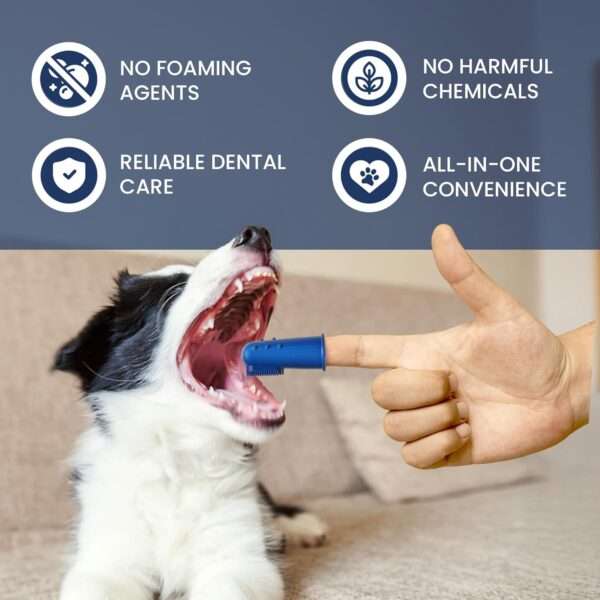Kit de higiene dental para perros y gatos. Incluye cepillo y pasta de dientes.