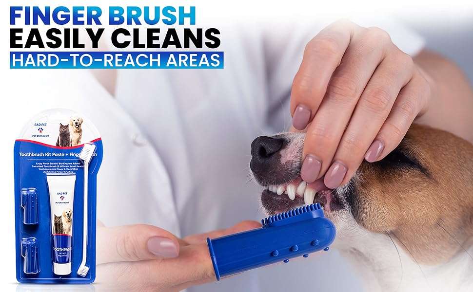 Kit de higiene dental para perros y gatos. Incluye cepillo y pasta de dientes.