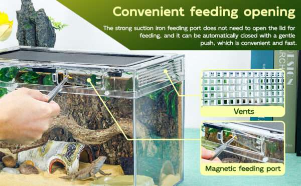 Un kit premium de terrario, mostrando un hábitat de policarbonato con vista 360 y accesorios esenciales para reptiles.