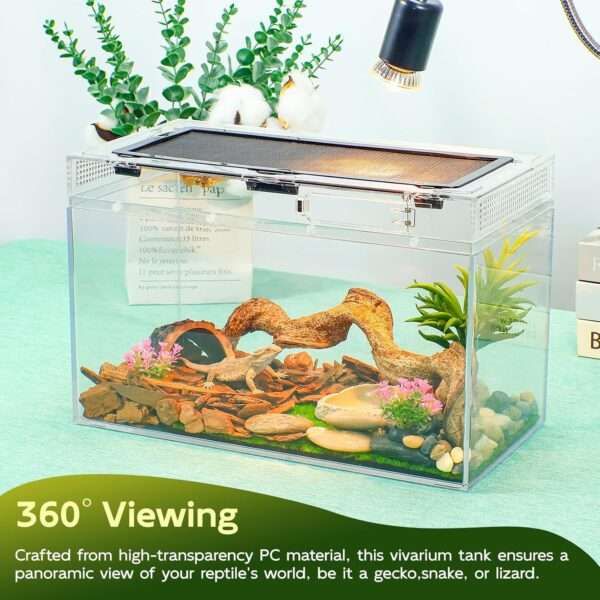 Un kit premium de terrario, mostrando un hábitat de policarbonato con vista 360 y accesorios esenciales para reptiles.