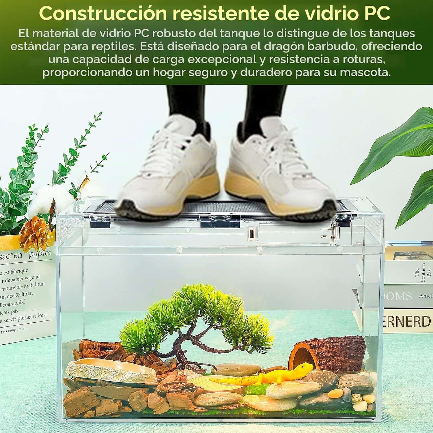 Un kit completo de inicio para reptiles, mostrando un terrario de policarbonato, una lámpara, pinzas y otros 5 accesorios esenciales.
