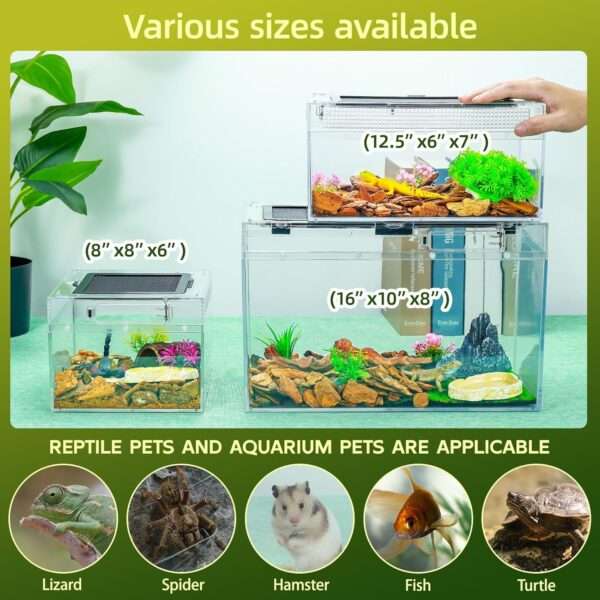 Un kit premium de terrario, mostrando un hábitat de policarbonato con vista 360 y accesorios esenciales para reptiles.
