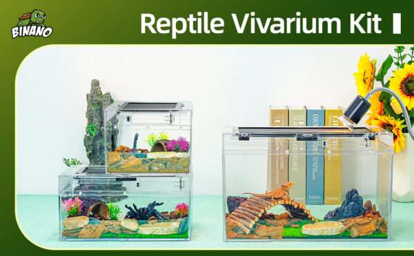 Un kit premium de terrario, mostrando un hábitat de policarbonato con vista 360 y accesorios esenciales para reptiles.