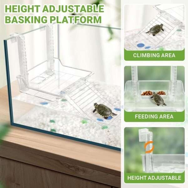 Un kit completo de inicio para tortugas, mostrando un acuario de acrílico, plantas decorativas y una plataforma multifuncional, con las medidas 40x20x22 cm.