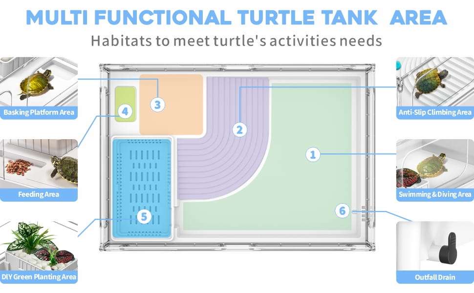 Un kit completo de inicio para tortugas, mostrando un acuario de acrílico con sus medidas, un filtro, una plataforma y otros accesorios.