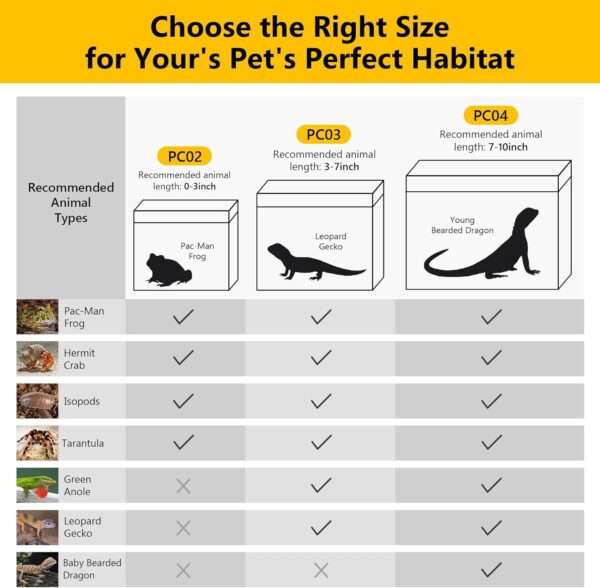 Un kit completo de inicio para reptiles, que muestra un mini terrario, pinzas, termómetro, cueva y otros accesorios esenciales.