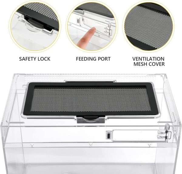 Un kit completo de inicio para reptiles, que muestra un mini terrario, pinzas, termómetro, cueva y otros accesorios esenciales.