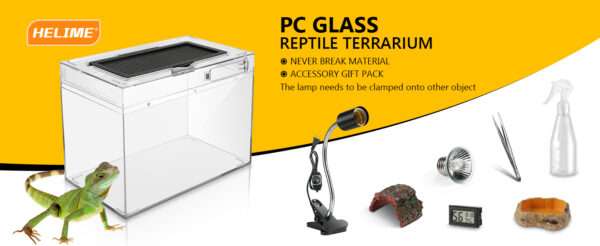 Un kit completo de inicio para reptiles, que muestra un mini terrario, pinzas, termómetro, cueva y otros accesorios esenciales.