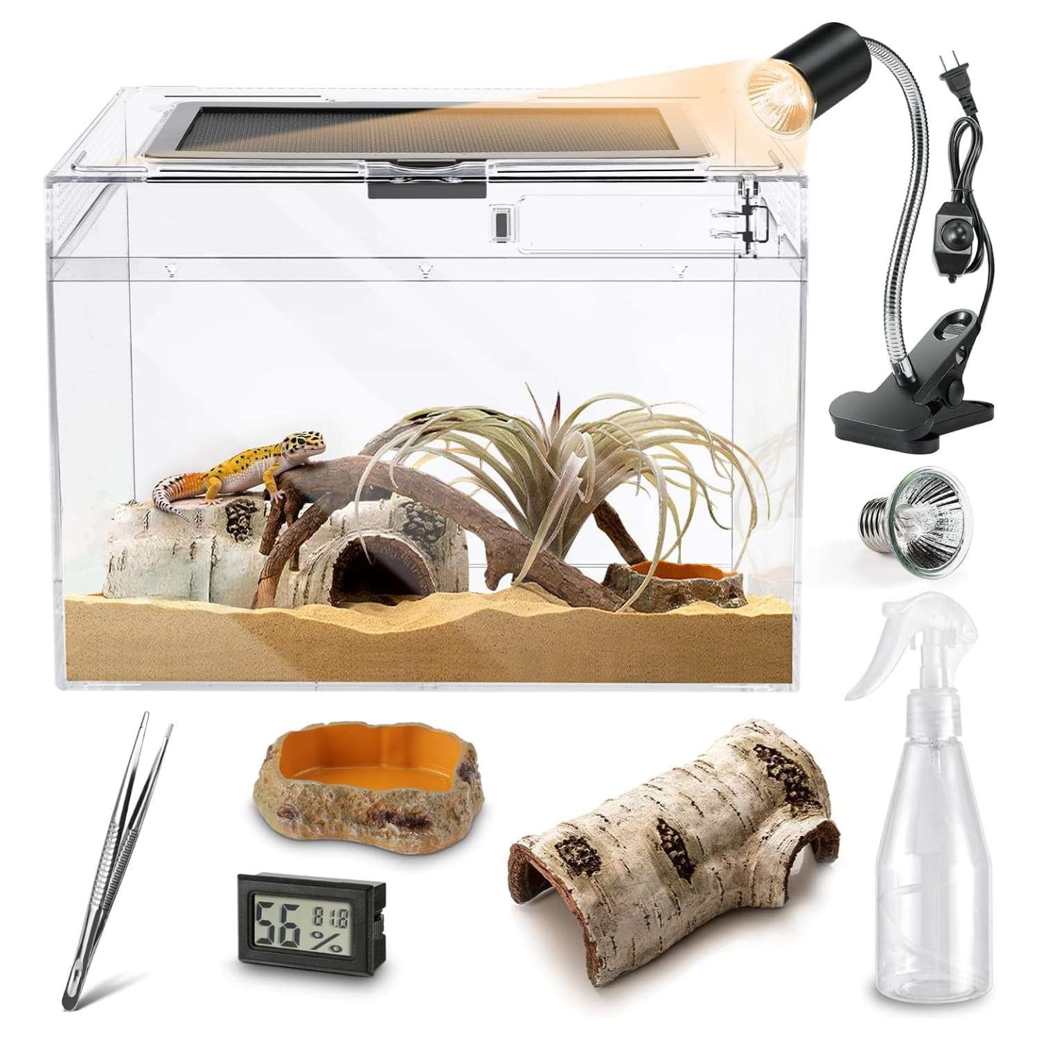 Un kit completo de inicio para reptiles, que muestra un mini terrario, pinzas, termómetro, cueva y otros accesorios esenciales.