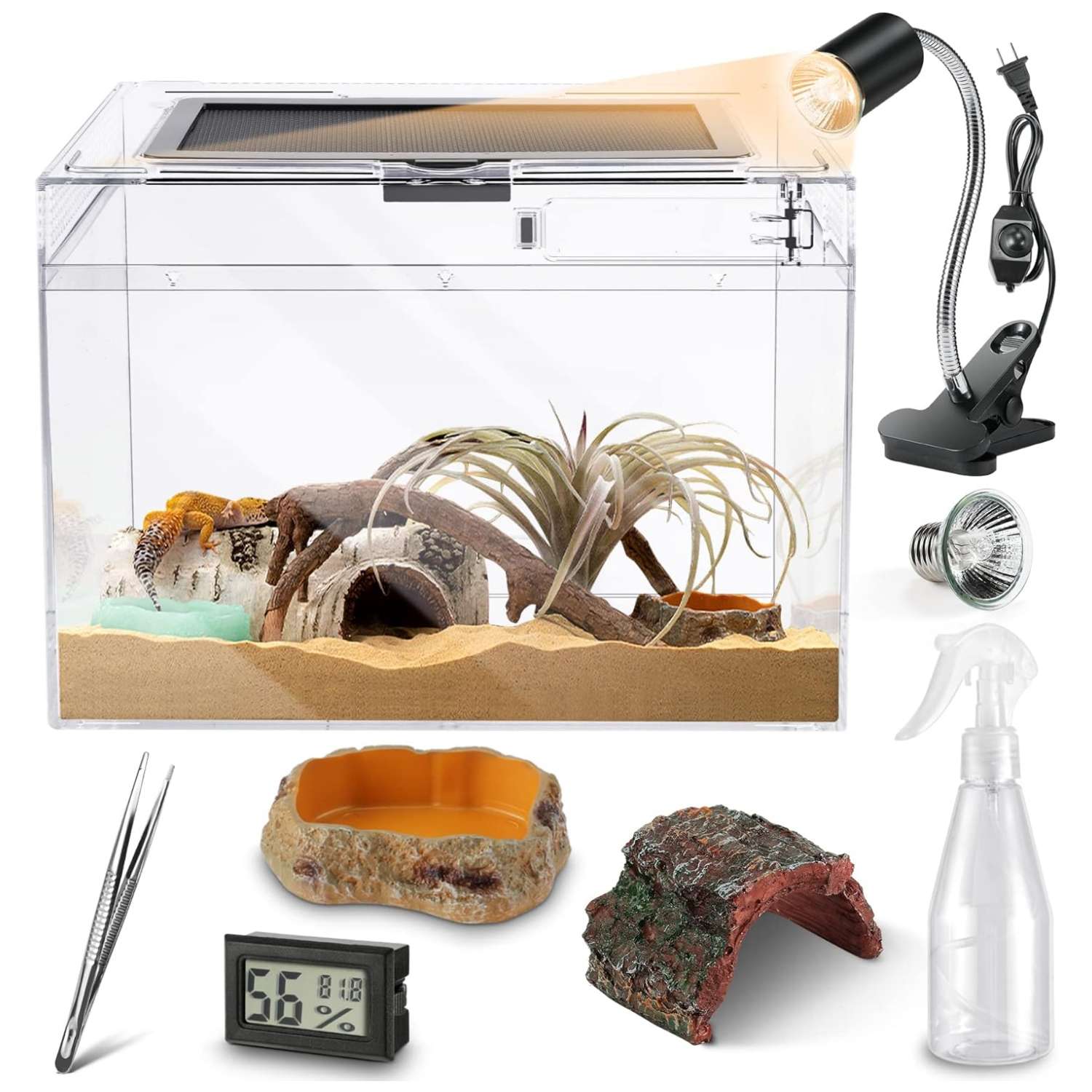 Un kit completo de inicio para reptiles, que muestra un mini terrario, pinzas, termómetro, cueva y otros accesorios esenciales.