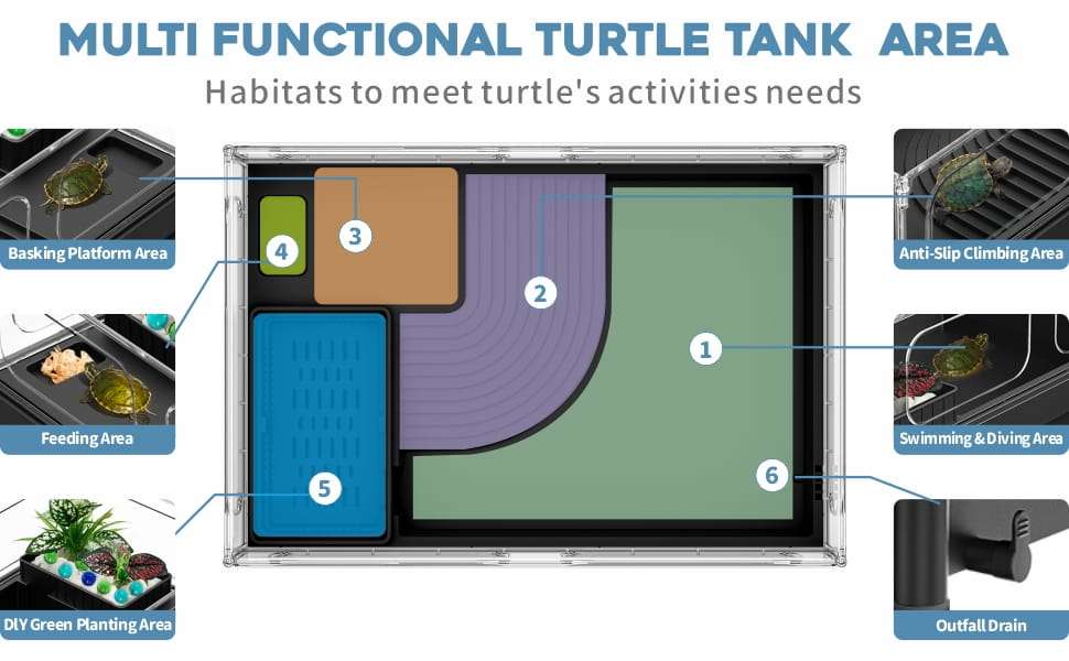 Un kit completo de inicio para tortugas, mostrando un acuario de acrílico con sus medidas, una lámpara, un filtro y otros accesorios esenciales.