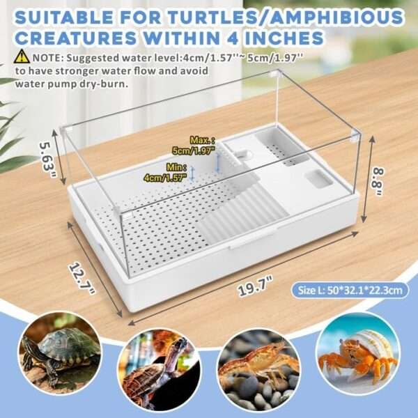 Un kit completo de inicio para tortugas, mostrando un acuario de acrílico con sus medidas, una bomba de agua, una lámpara y otros accesorios.