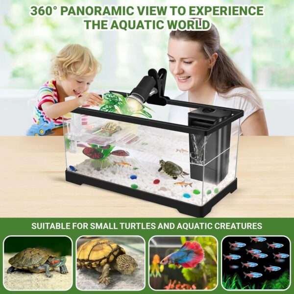 Un kit completo para tortugas de agua, mostrando un acuario de policarbonato con lámpara, filtro y accesorios esenciales.