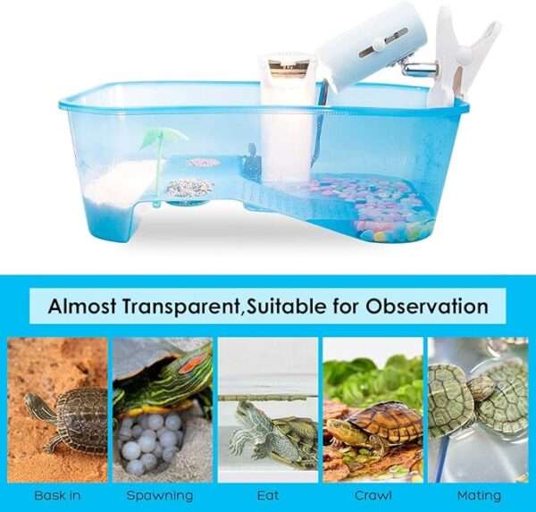 Un kit completo para tortugas, mostrando un acuario multifuncional de 40x13x24 cm, una lámpara, un filtro y otros accesorios.