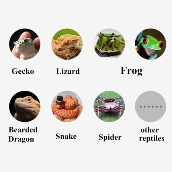 Kit de vides y plantas artificiales para terrario, con alambre flexible interno y ventosas fuertes para reptiles.