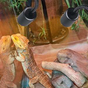 Lámpara de doble cabezal para reptiles con temporizador de ciclo automático (24H) y cuello de cisne 360°.