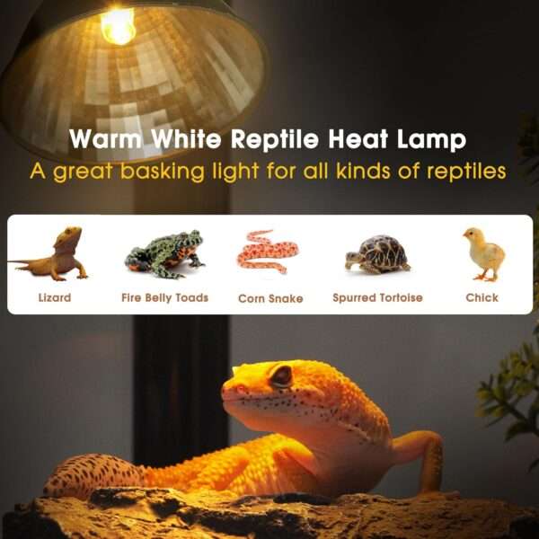 Lámpara de calor regulable (50W) para reptiles, con reflector de aluminio y luz UVA para aumentar la digestión.