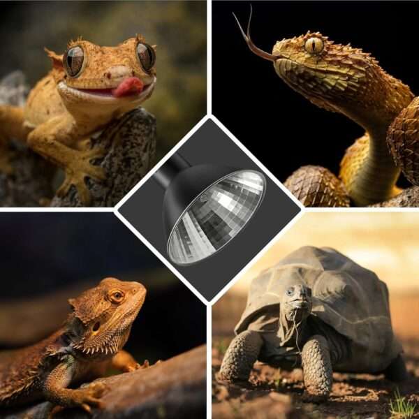 Lámpara de calor regulable (50W) para reptiles, con reflector de aluminio y luz UVA para aumentar la digestión.