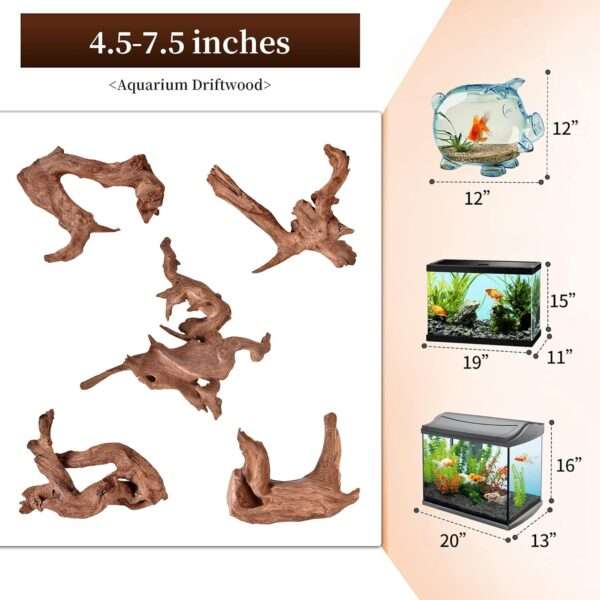 Kit de 5 piezas de madera flotante natural única, ideal para decoración de acuarios (5-10 galones) y terrarios de reptiles.